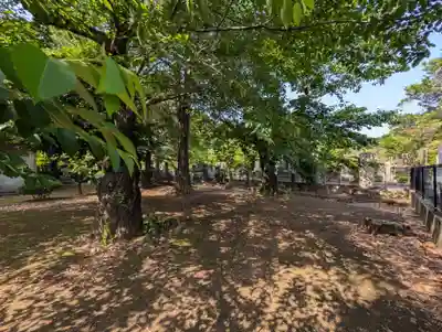 護国寺(東京都)