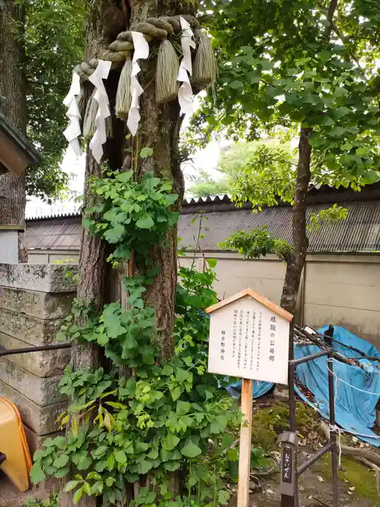 那古野神社の自然