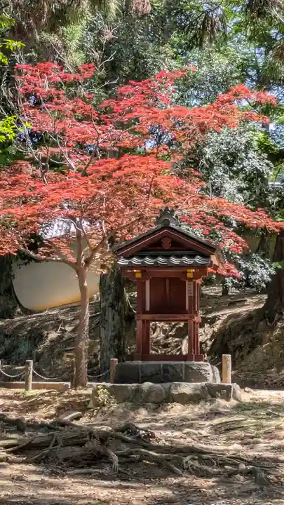 東大寺(奈良県)