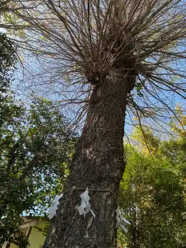 足尾神社里宮(茨城県)
