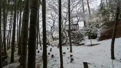 圓光寺(京都府)