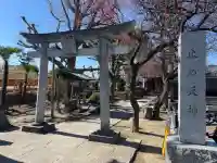 北野天神(仲六郷北野神社)の{uncategorized: "未分類", other: "その他", undefined: "問題あり", building: "その他建物", grave: "お墓", sacred_gate: "鳥居", guardian: "狛犬", statue: "像", buddha: "仏像", history: "歴史", nature: "自然", garden: "庭園", animal: "動物", pagoda: "塔", temizu: "手水舎", mountain_gate: "山門・神門", sanctuary: "本殿・本堂", subordinate: "末社・摂社", art: "芸術", scenery: "景色", jizo: "地蔵", ema: "絵馬", goshuin: "御朱印", omikuji: "おみくじ", items: "授与品その他", amulet: "お守り", goshuincho: "御朱印帳", eats: "食事", festival: "お祭り", votive_dance: "神楽", shichigosan: "七五三参", wedding: "結婚式", experience: "体験その他", initially: "初詣", around: "周辺", anti_infection: "感染症対策"}