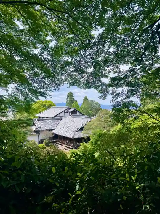 青蓮院門跡の{uncategorized: "未分類", other: "その他", undefined: "問題あり", building: "その他建物", grave: "お墓", sacred_gate: "鳥居", guardian: "狛犬", statue: "像", buddha: "仏像", history: "歴史", nature: "自然", garden: "庭園", animal: "動物", pagoda: "塔", temizu: "手水舎", mountain_gate: "山門・神門", sanctuary: "本殿・本堂", subordinate: "末社・摂社", art: "芸術", scenery: "景色", jizo: "地蔵", ema: "絵馬", goshuin: "御朱印", omikuji: "おみくじ", items: "授与品その他", amulet: "お守り", goshuincho: "御朱印帳", eats: "食事", festival: "お祭り", votive_dance: "神楽", shichigosan: "七五三参", wedding: "結婚式", experience: "体験その他", initially: "初詣", around: "周辺", anti_infection: "感染症対策"}
