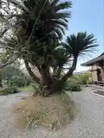 王楽寺(宮崎県)