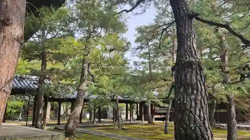 大徳寺(京都府)