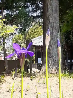 伏木香取神社(茨城県)