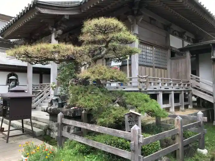 温泉山 安楽寺(四国霊場第六番札所)の庭園