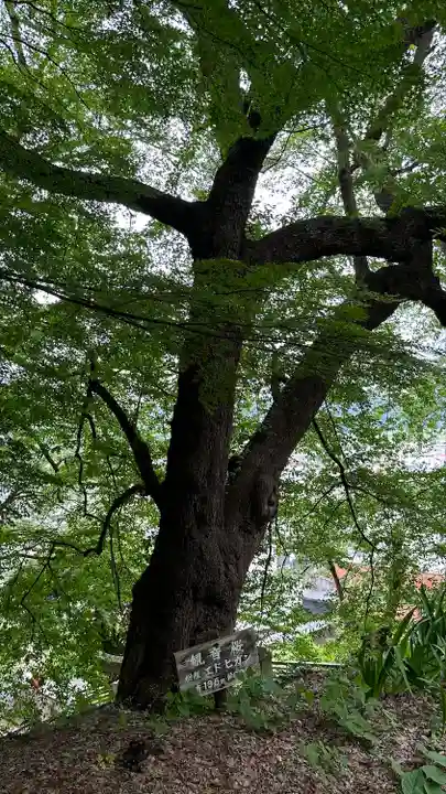 東正寺(山形県)