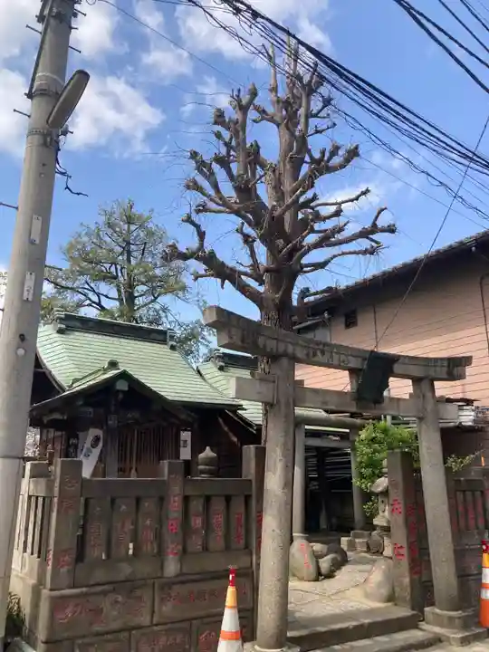 於咲稲荷神社・波除(浪除)稲荷神社(東京都)