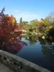 禅林寺（永観堂）の庭園