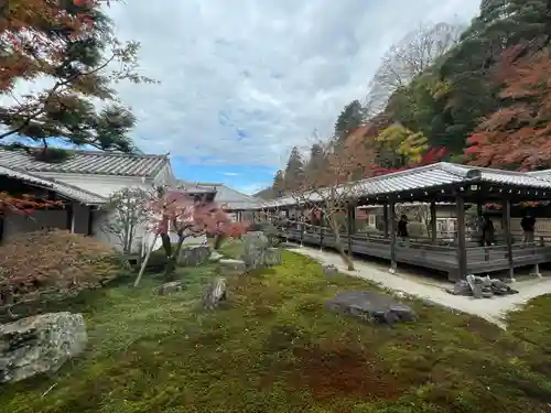 南禅院(京都府)