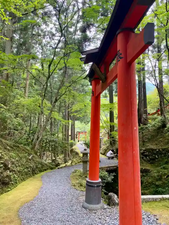 白龍神社の鳥居