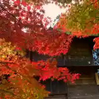 滑川神社 - 仕事と子どもの守り神の自然