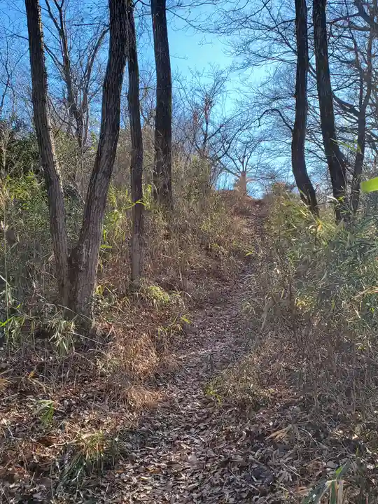 雷電神社 奥の院(助戸東山町)(栃木県)