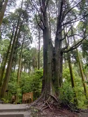 山神社(鹿児島県)