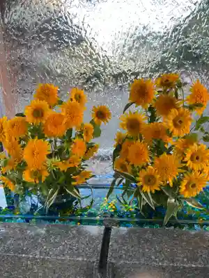 宮地嶽神社(福岡県)