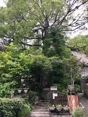西行寺のその他建物