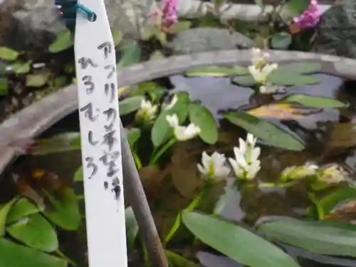 大巧寺(神奈川県)