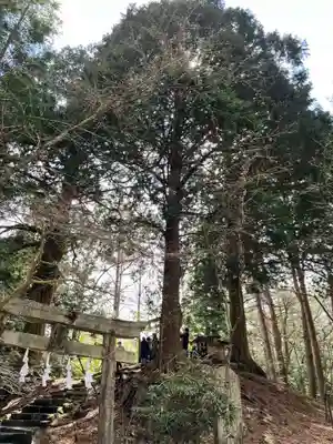 北口本宮冨士浅間神社(山梨県)