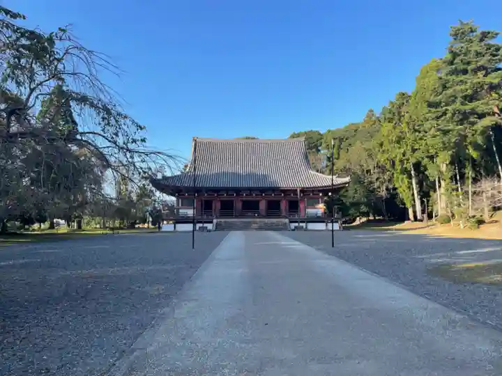 醍醐寺(京都府)