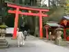 箱根神社の鳥居