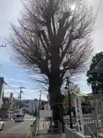 國榮稲荷神社(神奈川県)
