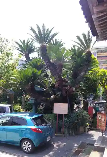 最誓寺(静岡県)