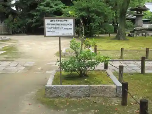 聖福寺(福岡県)