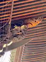 平等寺(因幡堂)の芸術