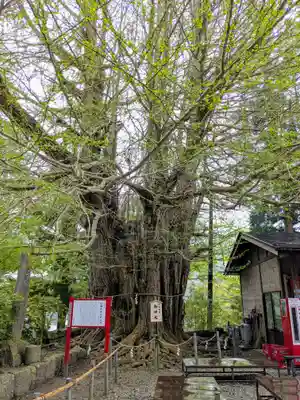 山寺日枝神社(山形県)