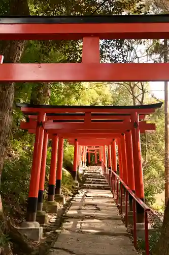 賀茂別雷神社（上賀茂神社）(京都府)