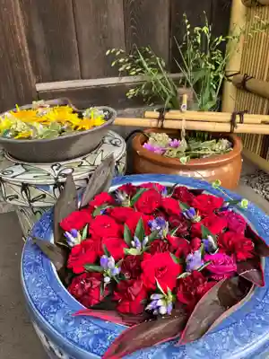 多賀神社の手水舎