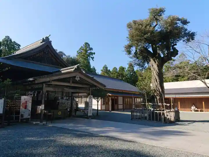 井伊谷宮の本殿・本堂