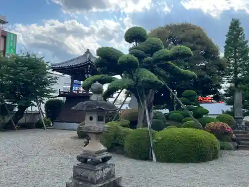 妙延寺(東京都)