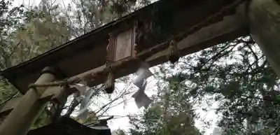 幣立神宮の鳥居