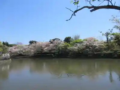 鶴岡八幡宮(神奈川県)