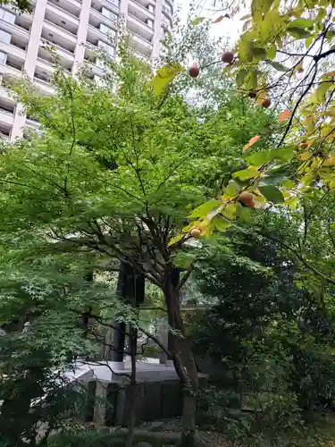 天徳寺(東京都)