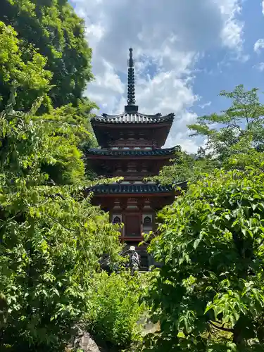 三室戸寺(京都府)