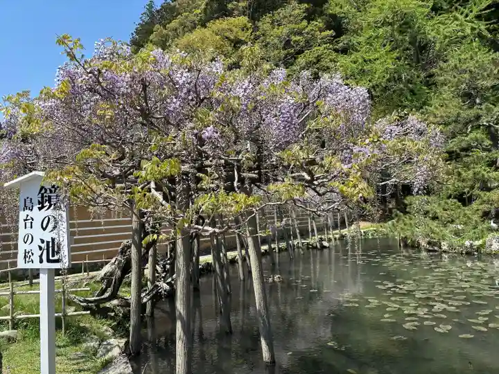 出雲大社神楽殿(島根県)