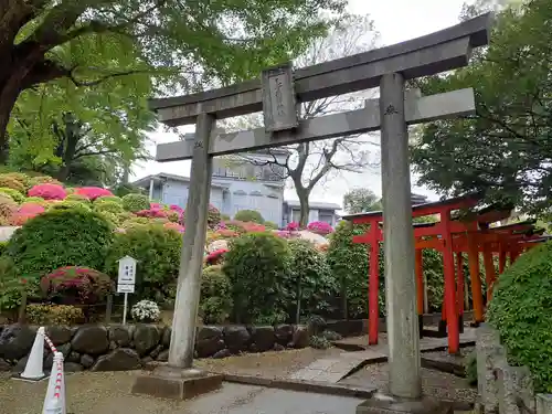 根津神社の鳥居