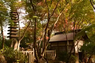 柳谷観音　楊谷寺(京都府)