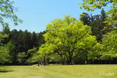 大斎原（熊野本宮大社旧社地）(和歌山県)