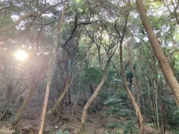 高龗神社の周辺