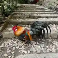 石上神宮(奈良県)