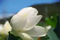 浄名寺(山口県)