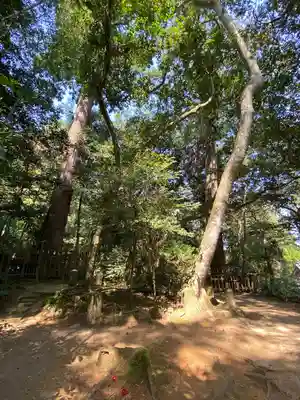 八重垣神社(島根県)