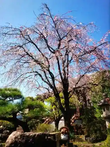最勝寺(東京都)