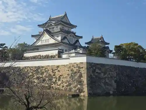 黒長龍王(大阪府)