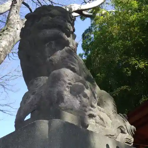 田無神社の狛犬