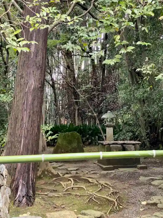 桂春院(京都府)